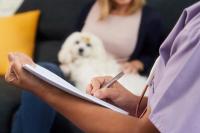Veterinary client