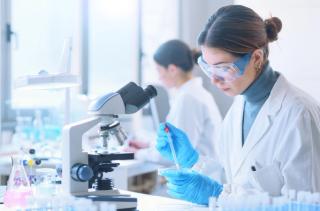 Vet Watch update: New World screwworm or not? What vets should and shouldn’t submit to labs 