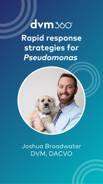 Rapid response strategies for Pseudomonas 