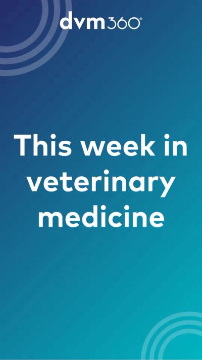Friday Vet Report: Stem cells, generic Onsior injection, veterinary specialty pharmacy