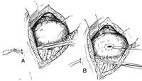 figure1-650431-1384343937760.jpg