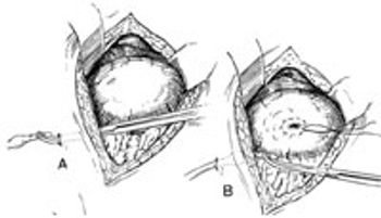 figure1-650431-1384343937760.jpg