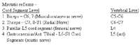 i1_t-568383-1384536896476.gif