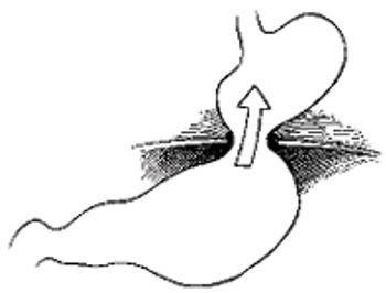 i1-833481-1404213929834.jpg
