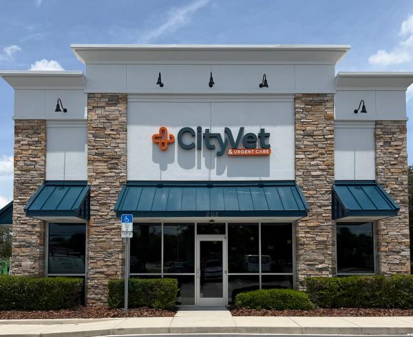 CityVet Casselberry. (Image courtesy of CityVet)