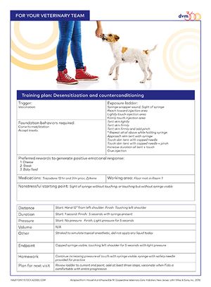 061019_dvm360team-training_handout_EXAMPLE-450.jpg