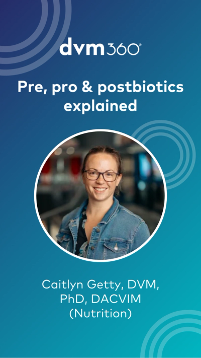 Pre, pro & postbiotics explained