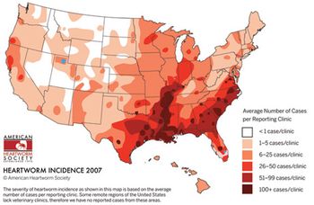 HeartwormIncidenceMap2-sized-587440-1384515168646.jpg