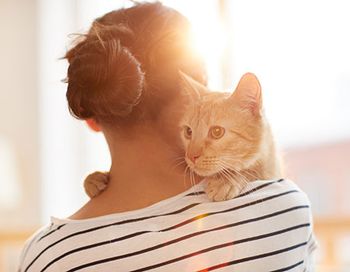 veterinary-woman-holding-cat-AdobeStock_261865014-1.jpg