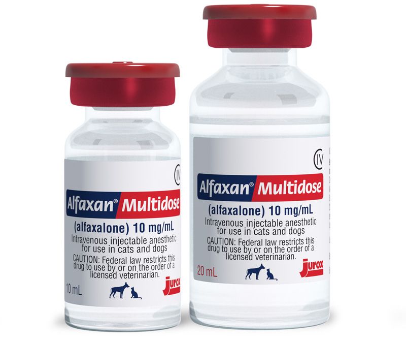 PRODUCT NEWS FDA Approves Alfaxan Multidose product-news-fda-approves-alfaxan-multidose