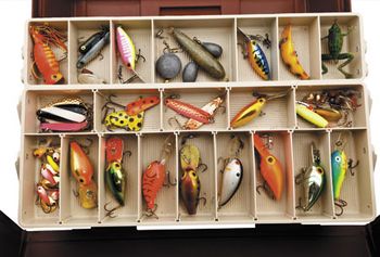 veterinary-colorful-fishes-450px-shutterstock-385411018.jpg