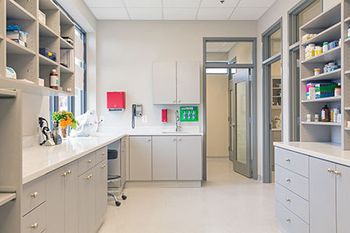 veterinary-goosecreek-lab-and-pharmacy2-450.jpg