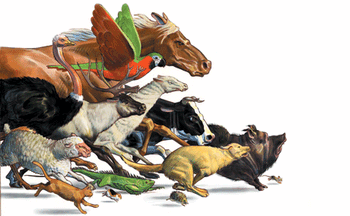 Stampedeanimals_460-1.gif
