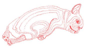 veterinary-doodle-cute-hand-drawn-dog-raster-version-324042794-body.jpg