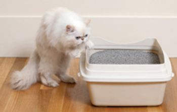 veterinary_kitty_litterbox_-718122-1384192755967.jpg