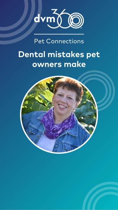 Dental mistakes pet owners make