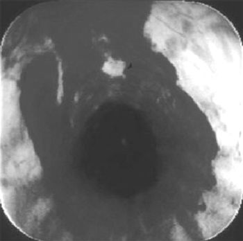 i4-729590-1384190050188.jpg