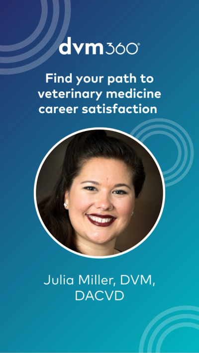 Find your path to veterinary medicine career satisfaction