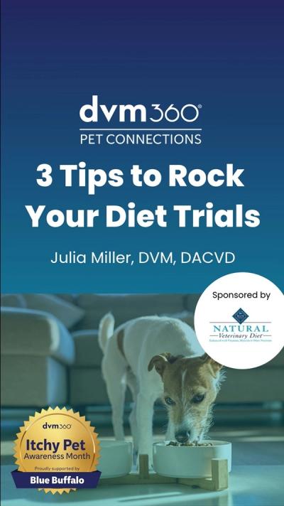 3 Tips to Rock Your Diet Trial
