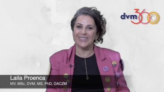 Triaging avian emergencies