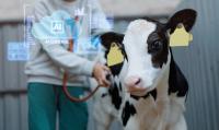 AI in veterinary medicine