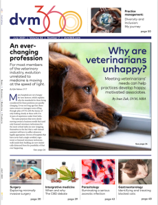 dvm360 July 2021