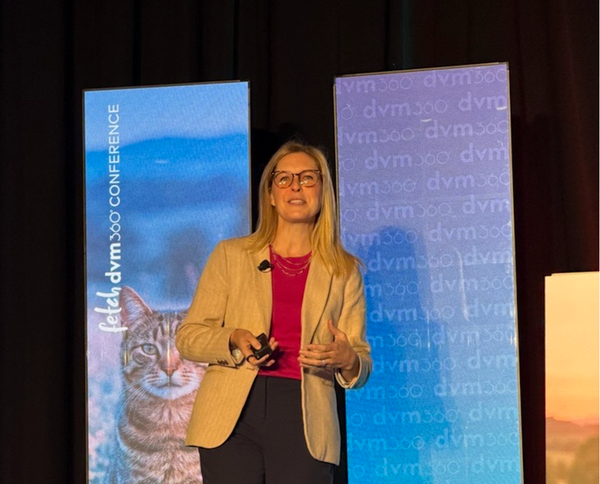 Why pet owners decline vaccines: Survey insights and strategies for navigating hesitancy