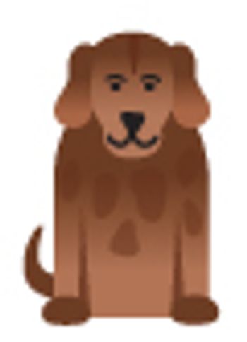 dog-502308-1384679351251.jpg