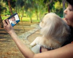 New coalition of veterinary groups aims to advance telehealth for patient care