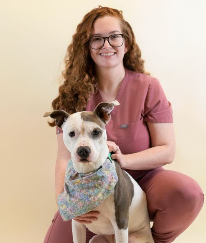 Lynsey Mohr, CVPM