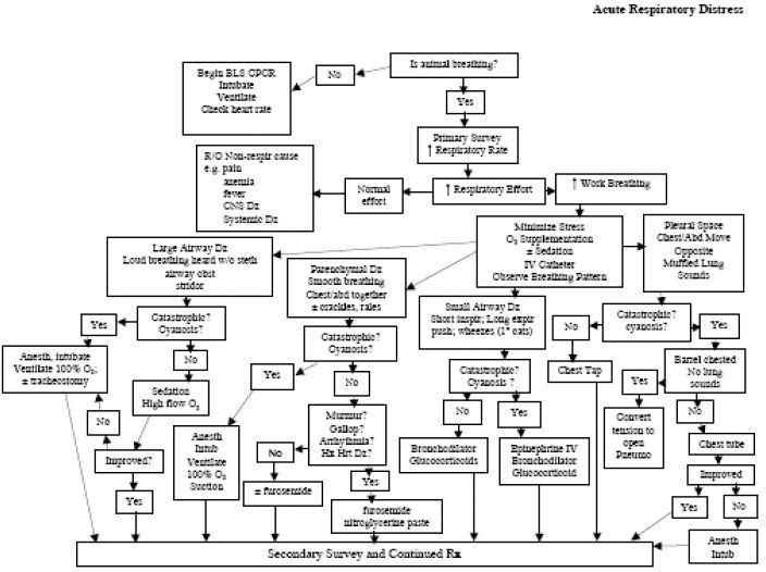 Acute respiratory distress-what to do when they are so blue (Proceedings)