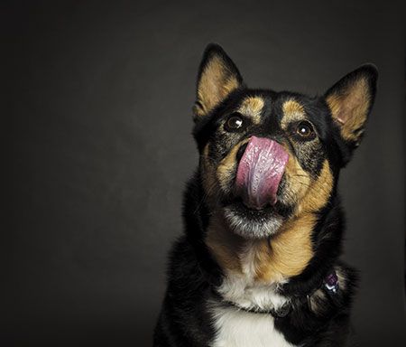 AdobeStock_196057193_450px.jpg
