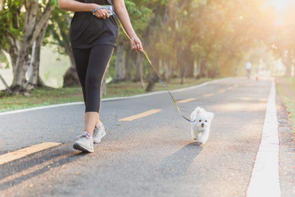 Virbac partners with MapMyWalk on dog walking challenge tied to mobility supplements
