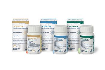 Laverdia now available for purchase for dogs with lymphoma