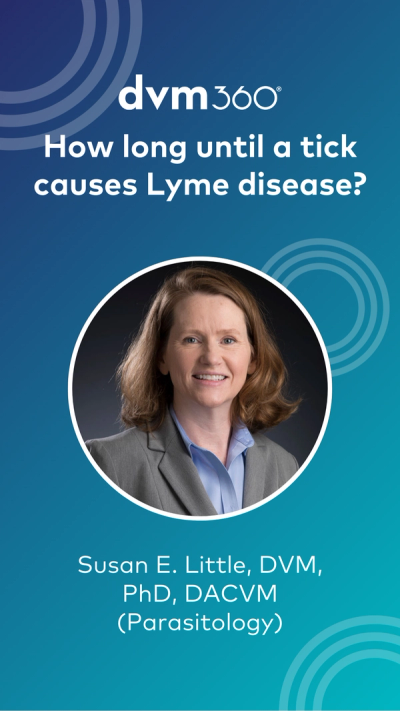 How long until a tick causes Lyme disease?