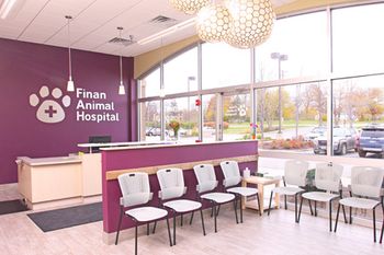 13_Finan-Animal-Hospital_Reception_450.jpg