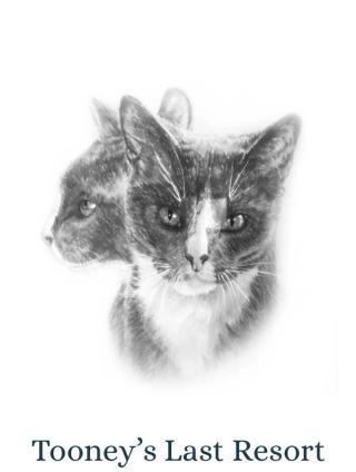 Tooney's Last Resort: A safe haven for animals