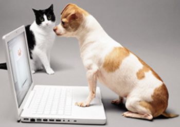 veterinary_computer_220px_.jpg