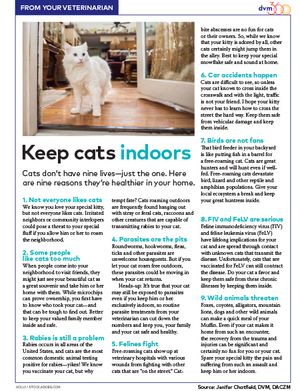 veterinary-handout_100418_indoor-cats-1.jpg