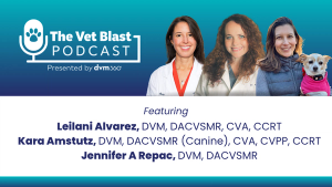 Rehab rewritten: Inside the handbooks of canine exercise therapy