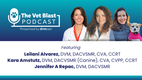 Rehab rewritten: Inside the handbooks of canine exercise therapy