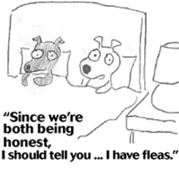 fleas.jpg