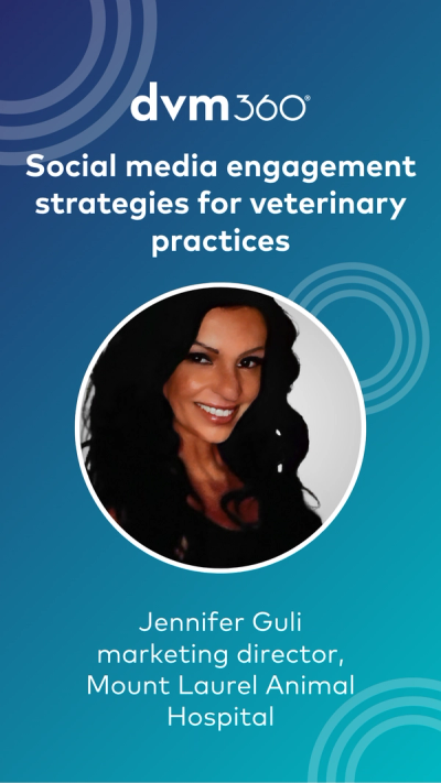 Social media engagement strategies for veterinary practices