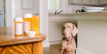 Psychiatric medications and pets