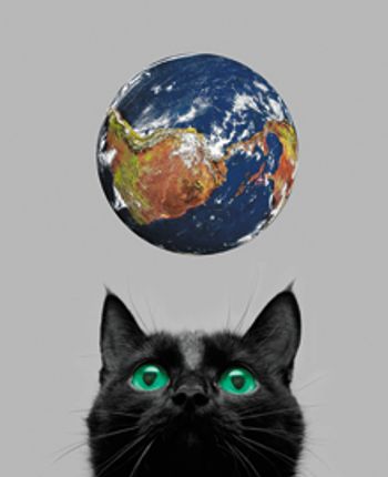 veterinary-black-cat-playing-with-earth-planet-on-grey-24750694-220.jpg