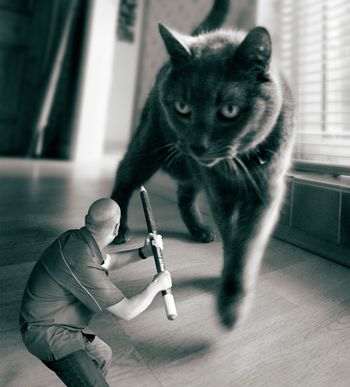 veterinary-Incredible-Shrinking-man-450px-87888925.jpg