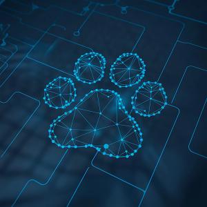 Photo: Prem/Adobe Stock