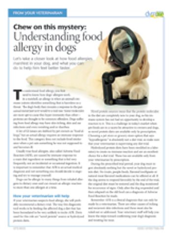 handout-food-allergy-in-dogs-220.jpg