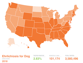 Understanding Capc S Parasite Prevalence Maps Heartworm Prevalence Map Usa Jpg 2022 Capc