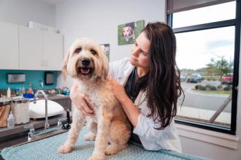 NewDay Veterinary Care